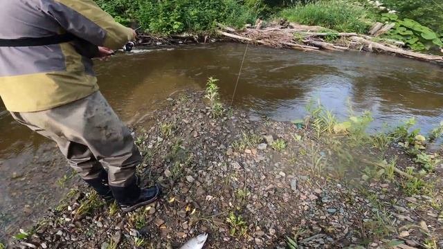 Рыбалка на мелочевку.