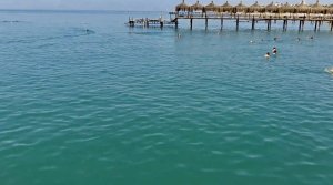 Море и пляж. Hotel "Wow Kremlin Palace" 5*. Анталья. Турция. Октябрь 2016.