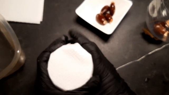 проращиваем личи! 3 способа прорастить косточки личи: сработают или нет?