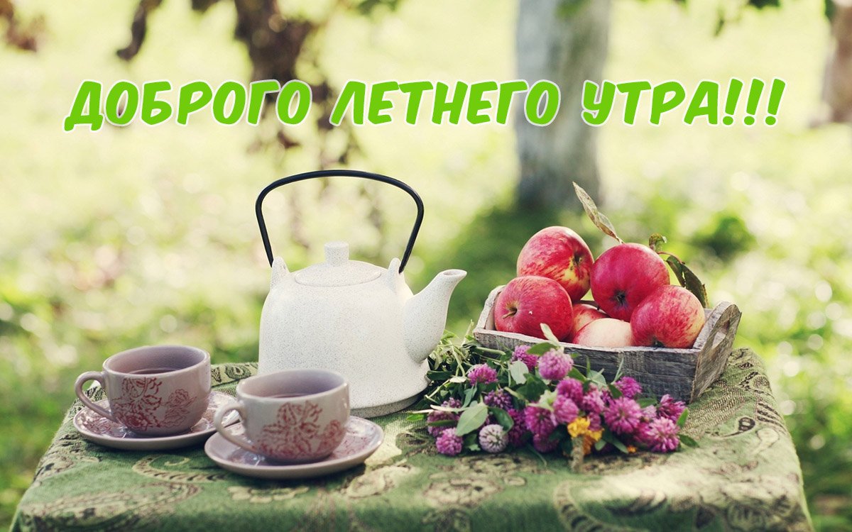 Доброе Утро! Пусть день будет наполнен светом?