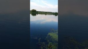 Рыбалка в г.Курске (Духовец)
