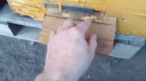 Как купить пчелопакет, на что обращать внимание.