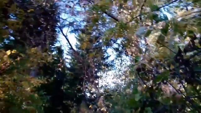 Курочкина гора смотреть онлайн