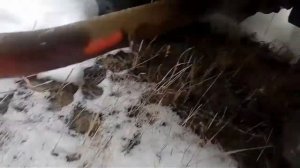 Колёса R13 на мотоблок MF70.