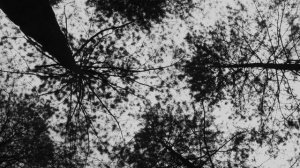 ТЯЖЁЛАЯ АТЛЕТИКА - ОСКОЛКИ (2023)