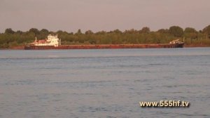 Ловля сазана с лодки.