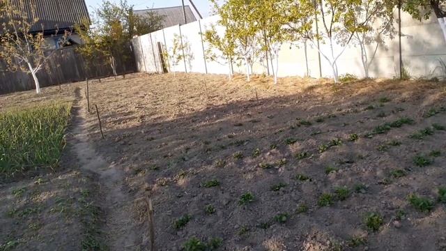 Тяжело,жить как-то надо.Уработались.Деревенские дела.Жизнь простых людей в деревне.Рекомендованное смотреть онлайн