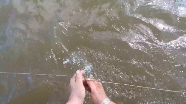 р. Обь. Ну на конец то , она нас порадовала... смотреть онлайн