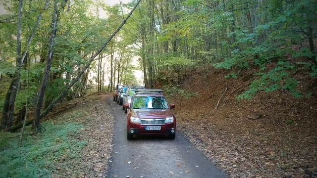 3 Subaru Forester and a Suzuki Jimny in the forest смотреть онлайн