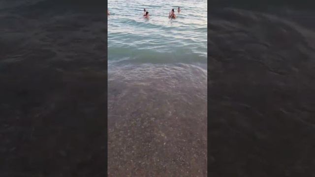 Архипо-Осиповка 1 августа 2024 года 🌿 вечерний пляж 🏖️ и море 🌊 Видео: @l.e.gust смотреть онлайн