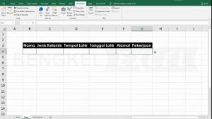 Cara Membuat Form Input Data di eXcel dengan Record Macro, Tanpa Coding