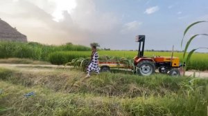 mini tractor 5911 heavy loaded trolly with grass | kids loading grass in mini 5911 Tractor trolly