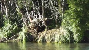 Природа Камчатки