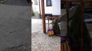 Простой навес(беседка) во дворе своими руками.