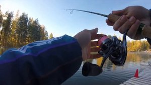 Работа Zetrix Arte 642 SUL при вываживании форели.