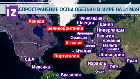 Карта заражения обезьяньей оспой в мире / Известия