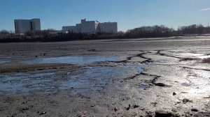 Северное водохранилище Ростова без воды.mp4