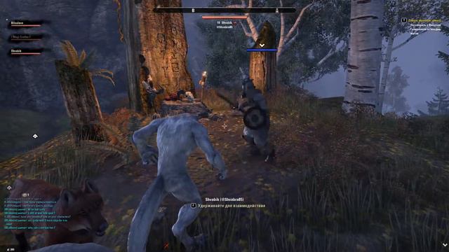 Перевторення на перевертня (я перетворюю) Elder Scrolls Online смотреть онлайн