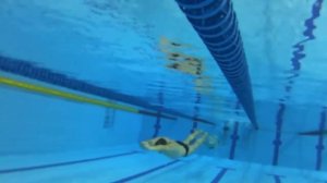 Ихтиандр в бассейне "Орбита" (Сыктывкар)