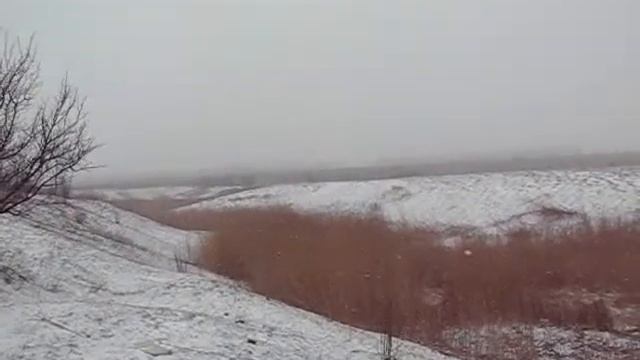 Метель 24 марта смотреть онлайн