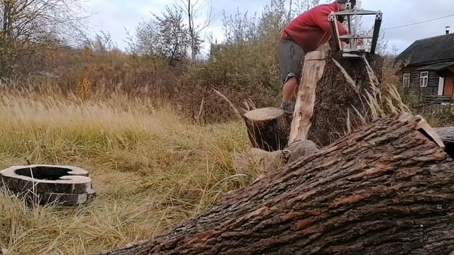 Деньги из дров. Из гнилого пня изделие.