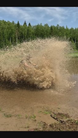 Бодрый "старичок" Kawasaki brute force 750 #shorts