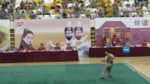 Южный кулак, очень  круто! Соревнования Сямэнь ( Китай) 2014г.