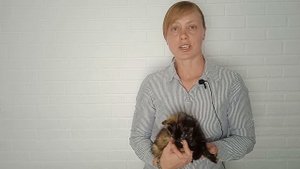 КАК ПОХУДЕТЬ ПРИ ГИПОТИРЕОЗЕ? ПЛАН ДЕЙСТВИЙ!