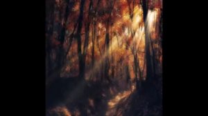 фото Ildiko Neer