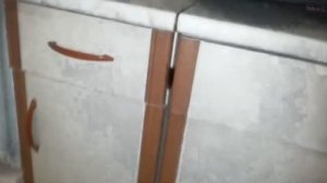 НА МЕНЯ НАПАЛИ ТАРАКАНЫ-ПРУСАКИ В ДЕЛЕ