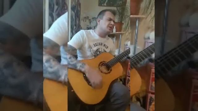 "Королева снежная"на гитаре смотреть онлайн