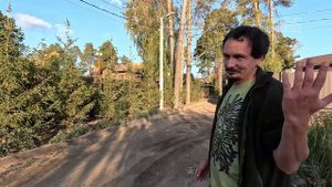 Сад в лесу. Как купив лесной участок не остаться в поле.