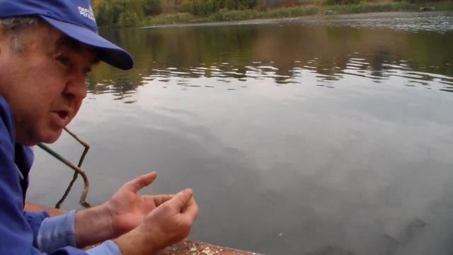 А белый лебедь на пруду... смотреть онлайн