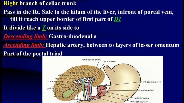 blood supply git смотреть онлайн
