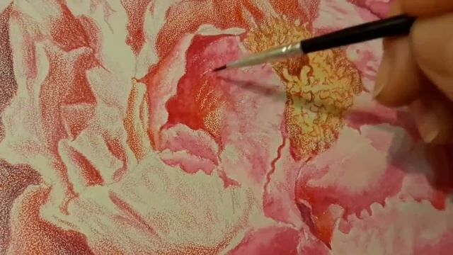 Розовый пион. Pink Peony