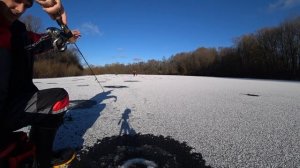РЫБАЛКА на ОКУНЯ Зимой на силикон. Подводная съёмка р. Снов.