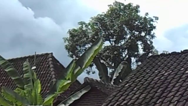 Hasil Kamera Nikon Coolpix S2700 No Edit смотреть онлайн