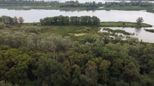 Чардым Саратов природа/ Турбазы Чардыма/dji mini 2 Полет и Съёмка квадрокоптером