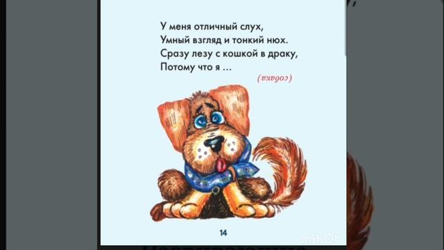 Развивающие загадки для детей