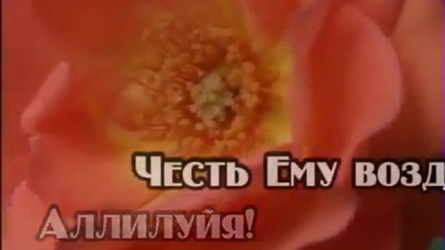 Аллилуйя, фонограмма