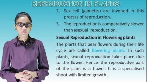 Reproduction in Plants II CH-11 OF CLASS 7 II ESSENTIAL SCIENCE IRISH