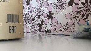 Распаковка - Оверлок Merrylock 004