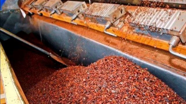 Интересный факт: " Изготовление конфет" смотреть онлайн