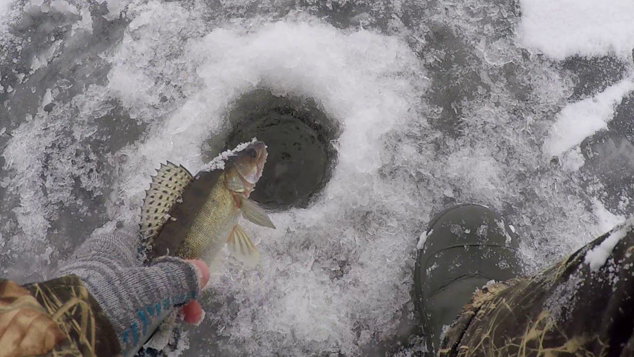 ЛОВЛЯ СУДАКА НА ВОЛГЕ,НА БАЛАНСИР С ПОДСАДКОЙ ТЮЛЬКИ+БОНУС|ЗИМНЯЯ РЫБАЛКА| смотреть онлайн