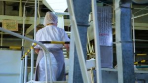 Хлебозавод №2