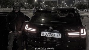 ♛ Охота навести суету ♛