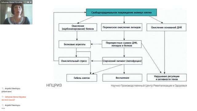 Антиоксидантная система нашего организма. смотреть онлайн