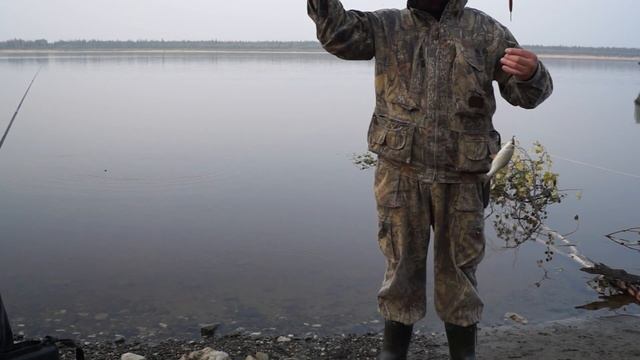 Летняя рыбалка на реке Печора. Бешенный клёв плотвы и окуня смотреть онлайн