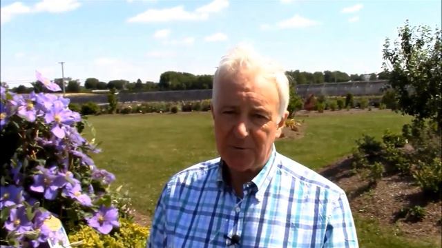 Raymond Evison Clematis® Grown by Overdevest Nurseries L.P. смотреть онлайн