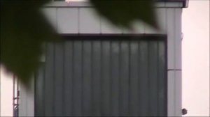 Canon Legria FS200 Zoom Test